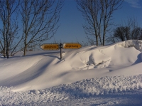 Bild: 