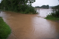 Bild: 