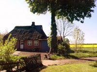 Bild: 