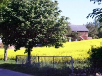 Bild: 